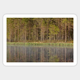 Forest reflecting to small lake at summer morning Sticker